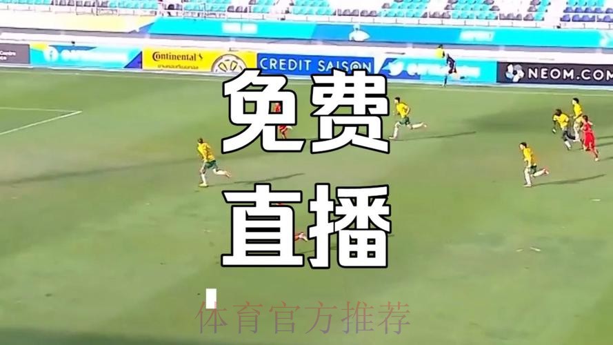 优酷全程高清直播世界杯赛事激情不断